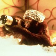 Dunston Checks In - galeria zdjęć - filmweb