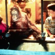 Małpa w hotelu - galeria zdjęć - filmweb
