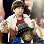 Małpa w hotelu - galeria zdjęć - filmweb