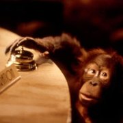 Dunston Checks In - galeria zdjęć - filmweb