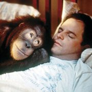 Małpa w hotelu - galeria zdjęć - filmweb