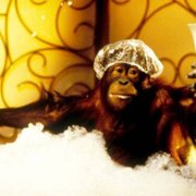 Dunston Checks In - galeria zdjęć - filmweb