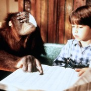 Małpa w hotelu - galeria zdjęć - filmweb