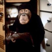 Dunston Checks In - galeria zdjęć - filmweb
