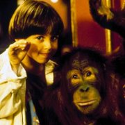 Małpa w hotelu - galeria zdjęć - filmweb