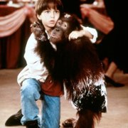 Małpa w hotelu - galeria zdjęć - filmweb