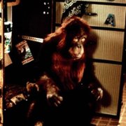 Dunston Checks In - galeria zdjęć - filmweb