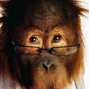 Dunston Checks In - galeria zdjęć - filmweb