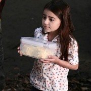 Invasion - galeria zdjęć - filmweb