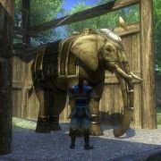 Dynasty Warriors Online - galeria zdjęć - filmweb