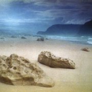 Siódmy kontynent - galeria zdjęć - filmweb