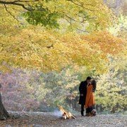 Kabhi Alvida Naa Kehna - galeria zdjęć - filmweb