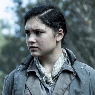 Dove
