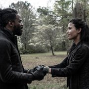 Fear the Walking Dead - galeria zdjęć - filmweb