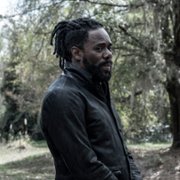 Fear the Walking Dead - galeria zdjęć - filmweb