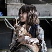 Fear the Walking Dead - galeria zdjęć - filmweb