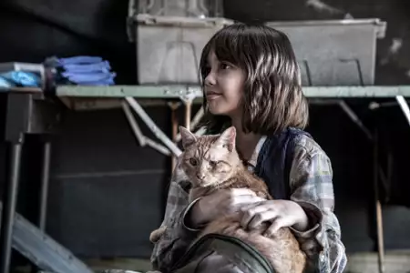Fear the Walking Dead - galeria zdjęć - filmweb