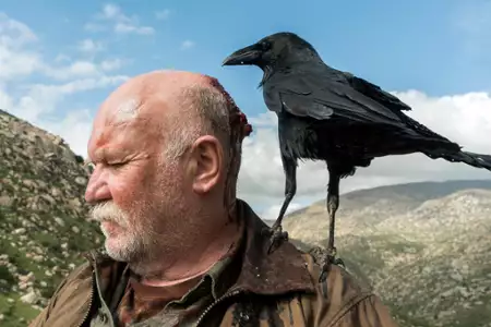 Fear the Walking Dead - galeria zdjęć - filmweb