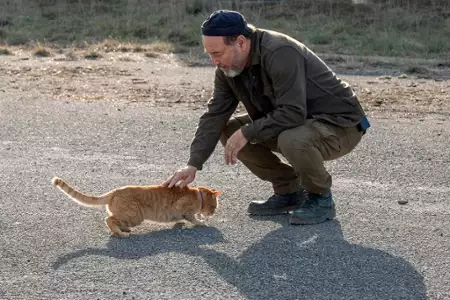 Fear the Walking Dead - galeria zdjęć - filmweb