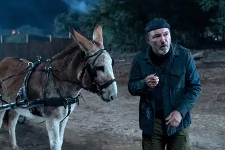 Fear the Walking Dead - galeria zdjęć - filmweb