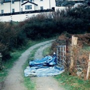 Sophie: A Murder in West Cork - galeria zdjęć - filmweb
