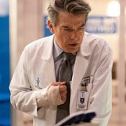 Grey's Anatomy - galeria zdjęć - filmweb