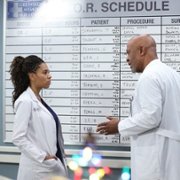 Grey's Anatomy - galeria zdjęć - filmweb