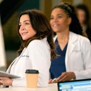 Grey's Anatomy - galeria zdjęć - filmweb