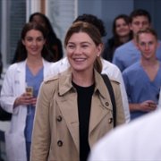 Grey's Anatomy - galeria zdjęć - filmweb