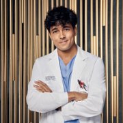 Grey's Anatomy - galeria zdjęć - filmweb