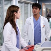 Grey's Anatomy - galeria zdjęć - filmweb