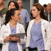 Grey's Anatomy - galeria zdjęć - filmweb