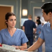 Grey's Anatomy - galeria zdjęć - filmweb