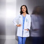 Grey's Anatomy - galeria zdjęć - filmweb