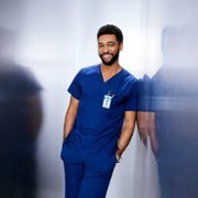 Grey's Anatomy - galeria zdjęć - filmweb