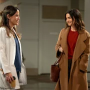 Chirurdzy - galeria zdjęć - filmweb