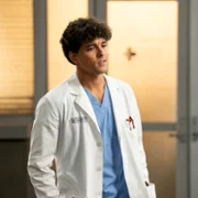 Grey's Anatomy - galeria zdjęć - filmweb