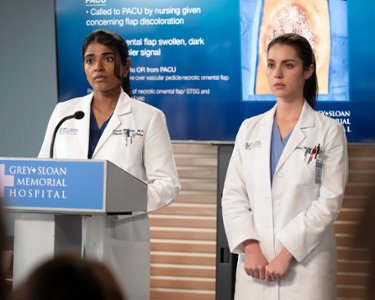 Sezon 22 Odcinek 13 Love the Way You Lie