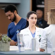 Chirurdzy - galeria zdjęć - filmweb