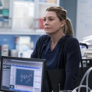 Grey's Anatomy - galeria zdjęć - filmweb