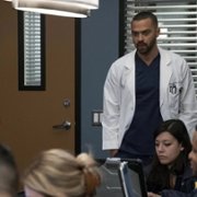 Grey's Anatomy - galeria zdjęć - filmweb