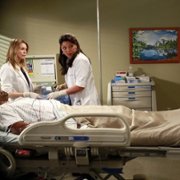 Grey's Anatomy - galeria zdjęć - filmweb