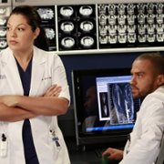 Grey's Anatomy - galeria zdjęć - filmweb