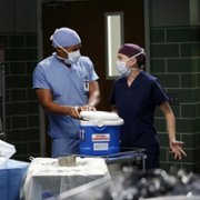 Grey's Anatomy - galeria zdjęć - filmweb