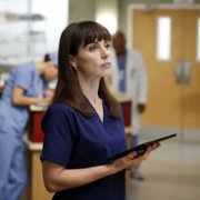 Grey's Anatomy - galeria zdjęć - filmweb