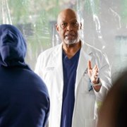 Grey's Anatomy - galeria zdjęć - filmweb