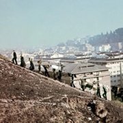 Brutti, sporchi e cattivi - galeria zdjęć - filmweb
