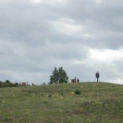 Powidoki - galeria zdjęć - filmweb
