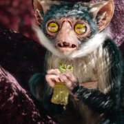 Obce światy - galeria zdjęć - filmweb