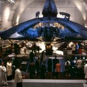 Independence Day - galeria zdjęć - filmweb